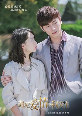 遇见爱情的利先生(DVD版)